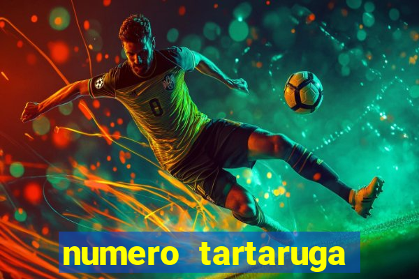 numero tartaruga jogo do bicho